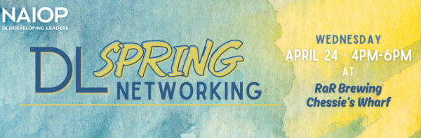 DL Spring Networking